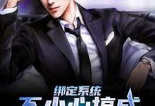 苏文小说在哪里可以看-艾米文学