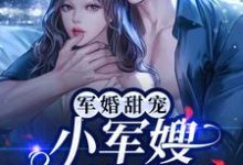 主人公容景辰叶沐栖小说军婚甜宠:小军嫂又美又娇在线章节阅读-艾米文学