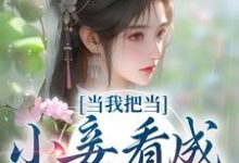 当我把当小妾看成打工后小说,当我把当小妾看成打工后章节在线阅读-艾米文学