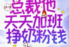 求穿书后,总裁他天天加班挣奶粉钱小说免费资源-艾米文学