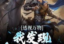 苏峻的完整故事在哪里?读透视万物:我发现皇帝的密码小说-艾米文学