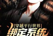完结版《穿越平行世界:绑定系统我嫉恶如仇》章节阅读-艾米文学