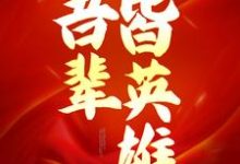 哪里能找到抗战1937：吾辈皆英雄小说的最新更新和免费章节？-艾米文学