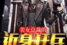 完结版《美女总裁的近身狂兵》在线免费阅读-艾米文学