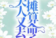 苏乔沈修瑾的故事在哪本书里?免费阅读爷,夫人又去摆摊算命了-艾米文学