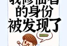 《入赘后,我修仙者的身份被发现了》小说主角叶寒章节章节免费在线阅读-艾米文学