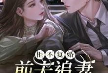 拒不复婚：前夫追妻杀疯了小说的最新章节在哪里更新？免费追踪阅读-艾米文学