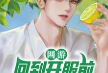 小说《网游:回到开服前我有神级天赋》章节阅读-艾米文学