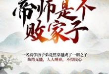 主人公叫江小川的小说大朝之势：帝师是个败家子在线阅读章节-艾米文学