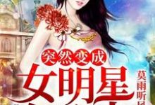 小说《突然变成了女明星怎么办》章节阅读-艾米文学