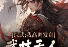 在线寻找综武:我高调发育,武林无人能敌小说的无删减版本-艾米文学