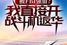 被FBI强留?我直接开战斗机返华!李东新邓青海小说免费阅读-艾米文学
