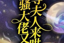 闷骚大佬又在等夫人来哄小说无弹窗阅读的网站推荐-艾米文学