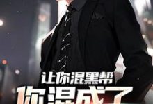 《让你混黑帮，你混成了社会英雄？》小说章节列表免费试读，方正小说在线阅读-艾米文学