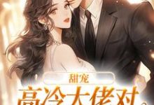 在线寻找甜宠：高冷大佬对娇娇犯花痴了小说的无删减版本-艾米文学
