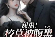 哪里能找到甜爆!校草被腹黑少女拿捏了小说的最新更新和免费章节?-艾米文学