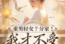 免费阅读水清范进为主角的小说,重男轻女?分家! 我才不受这窝囊气在线看-艾米文学