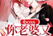 求boss你老婆又生气了小说的全文免费阅读链接-艾米文学
