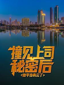 撞见上司秘密后，他平步青云了小说有没有完结版在线？