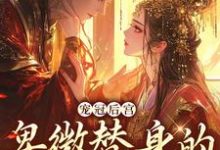 裴璎秦峥为主角的小说宠冠后宫：卑微替身的逆袭指南在线阅读-艾米文学