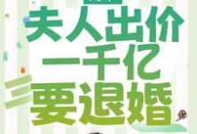 薄爷，夫人出价一千亿要退婚小说的免费阅读版本在哪里可以找到？-艾米文学
