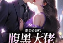遇美娇娘后，腹黑大佬又宠又撩小说的无弹窗阅读体验，寻找免费阅读网站-艾米文学