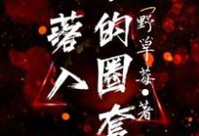 完结版《落入他的圈套》免费阅读-艾米文学