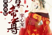 主人公叶云笙御君辞叶香玉小说神医毒妃：妖孽帝尊掌心宠在线章节阅读-艾米文学