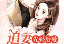 先婚后爱：追妻全程候命白夕寒冷年，先婚后爱：追妻全程候命小说免费阅读-艾米文学