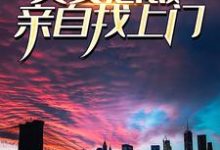 在线搜索苏尘的完整小说，免费阅读小说被发现后，美女总裁亲自找上门-艾米文学