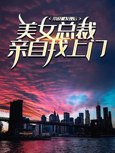 在线搜索苏尘的完整小说，免费阅读小说被发现后，美女总裁亲自找上门