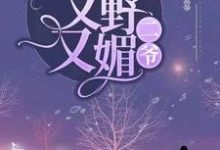 二爷，夫人她又野又媚沈如烟容思寒在线章节免费阅读-艾米文学