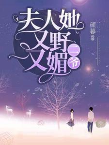 二爷，夫人她又野又媚沈如烟容思寒在线章节免费阅读