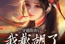 穿越隋唐后，我截胡了观音婢杨傲，穿越隋唐后，我截胡了观音婢最新章节-艾米文学
