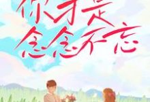 你才是念念不忘最新章节,你才是念念不忘免费阅读-艾米文学