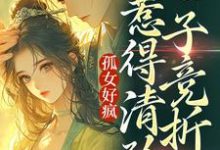 孤女好疯,惹得清矜世子竞折腰小说有没有完结版在线?-艾米文学