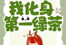 进宫后,我化身第一绿茶小说无弹窗阅读的网站推荐-艾米文学