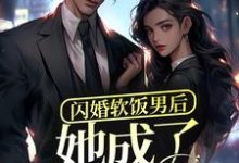 闪婚软饭男后，她成了富太太？这本小说完结了吗？免费查看最新章节-艾米文学