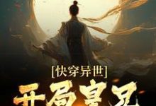 寻找快穿异世，开局皇兄全战死小说的最新更新章节-艾米文学