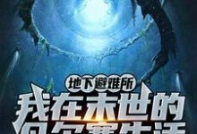 哪里可以免费读到叶良人的完整故事？寻找地下避难所：我在末世的凡尔赛生活-艾米文学