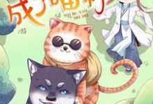 免费阅读林风百合为主角的小说,一不小心成了喵神在线看-艾米文学