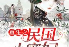 重生之民国小寡妇这本小说在哪里可以看?哪里有免费试读章节?-艾米文学
