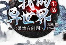 免费看我的异世界生活果然有问题小说的网站有哪些?-艾米文学