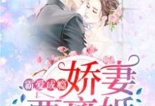 霸爱成瘾:娇妻要离婚小说,霸爱成瘾:娇妻要离婚最新章节-艾米文学