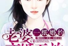 一纸婚约:老婆,离婚无效小说免费资源,一纸婚约:老婆,离婚无效在线阅读-艾米文学