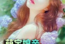 萌宝娘亲美又飒这本小说在哪里可以看?哪里有免费试读章节?-艾米文学