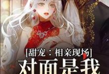 孟黎月厉赴征小说叫什么（甜宠：相亲现场，对面是我暗恋对象免费阅读）-艾米文学