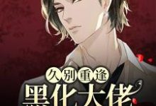 沈戾纪舟野是哪本书的主角?久别重逢:黑化大佬人设崩塌了免费读-艾米文学