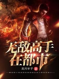 在线寻找林宇阳刘圆圆的小说，无敌高手在都市免费阅读