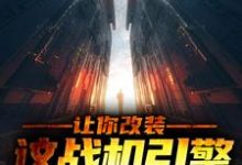 主人公高晓光李幼微小说让你改装，这战机引擎什么鬼？在线章节阅读-艾米文学
